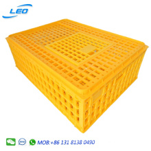 high quality large size transport crate for live poultry